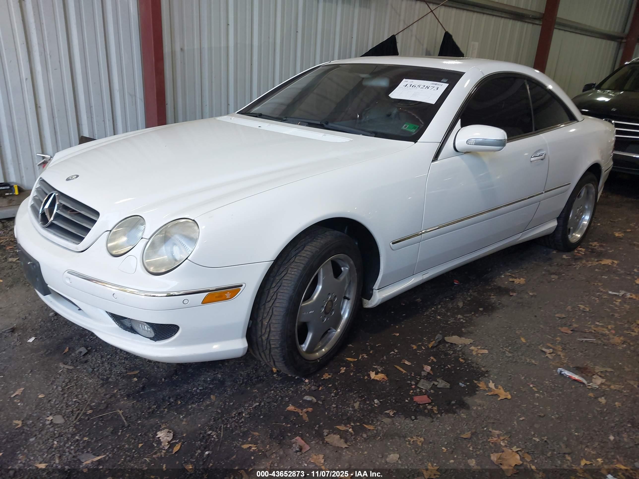 2002 Mercedes-benz Cl 500   Белый vin: WDBPJ75J82A029232