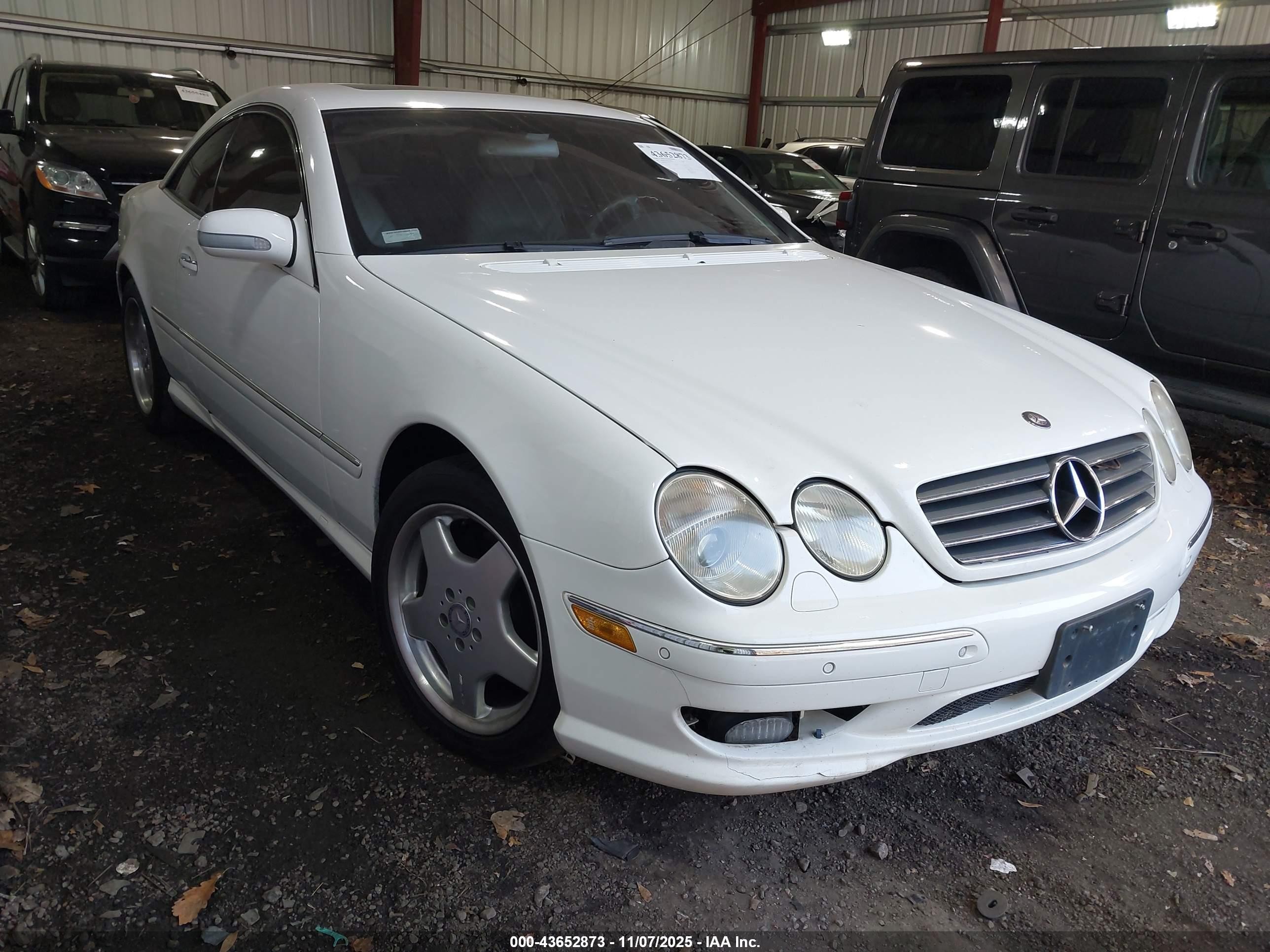 2002 Mercedes-benz Cl 500   Белый vin: WDBPJ75J82A029232