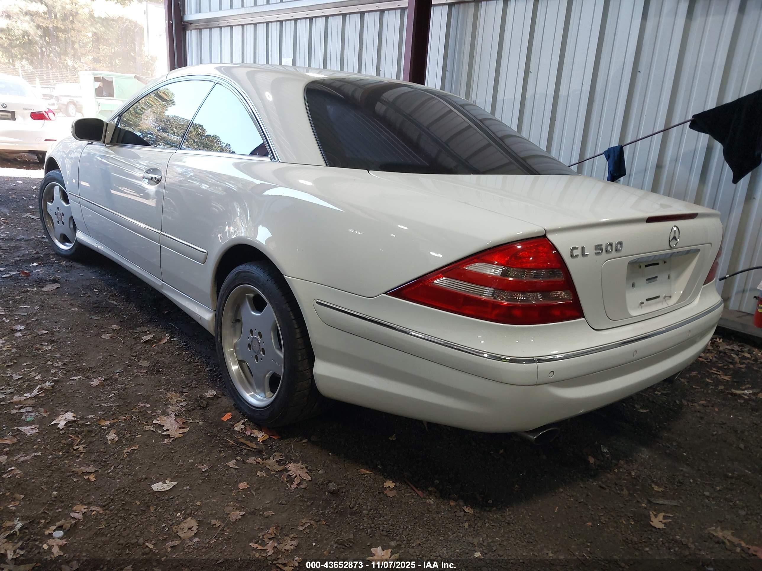 2002 Mercedes-benz Cl 500   Белый vin: WDBPJ75J82A029232