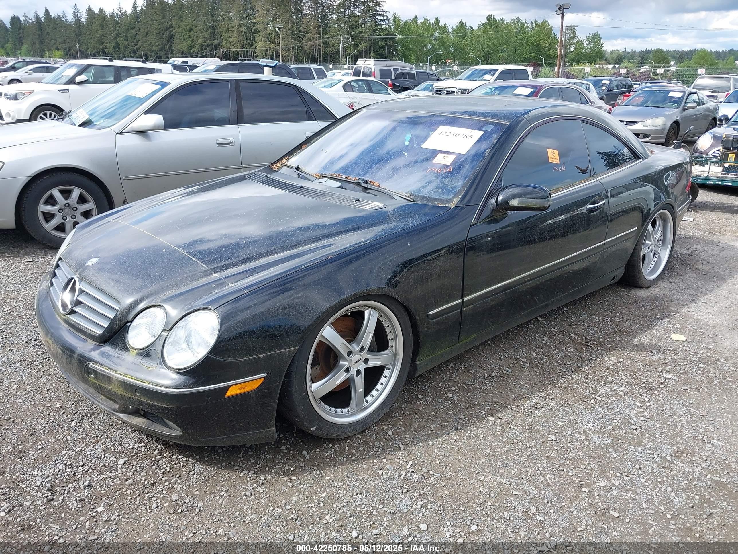 2000 Mercedes-benz Cl 500   Black vin: WDBPJ75J8YA003853