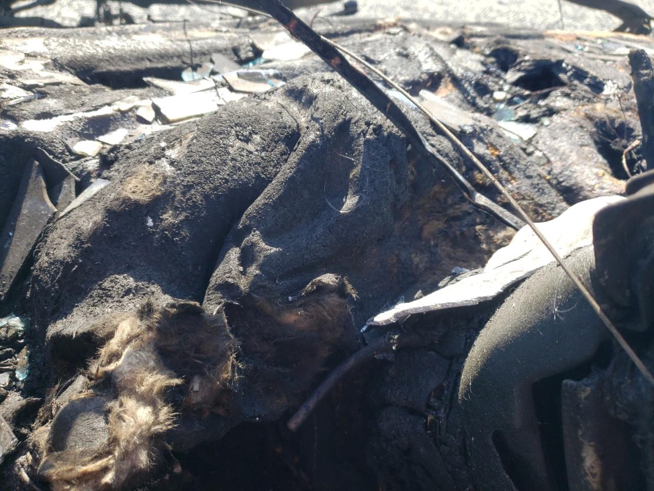 2001 Mercedes-benz C 320 Burn vin: WDBRF64J31F016637
