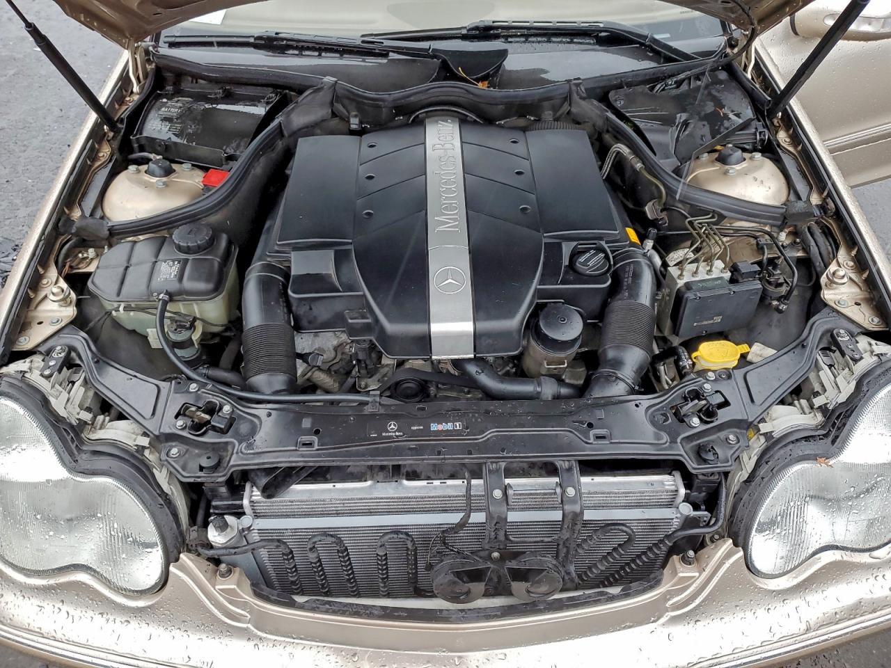 2004 Mercedes-benz C 320 4matic Бежевый vin: WDBRF84J34F498963
