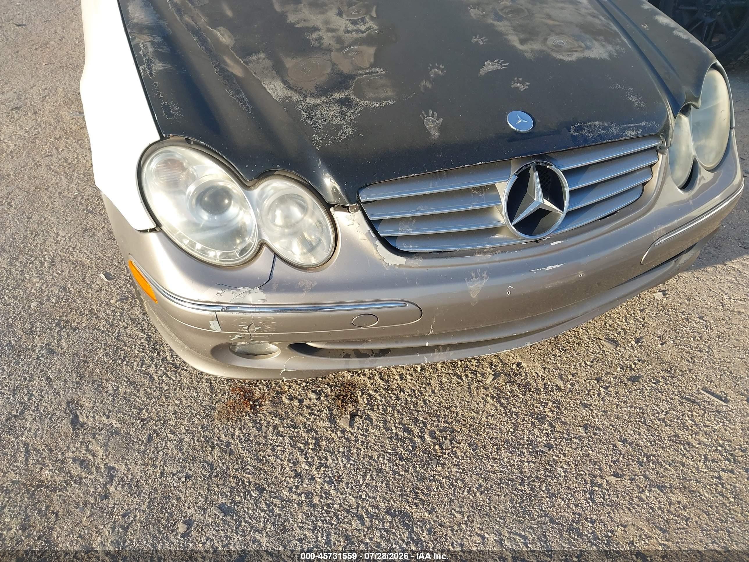 2004 Mercedes-benz Clk 320   Champagne vin: WDBTJ65J54F104449