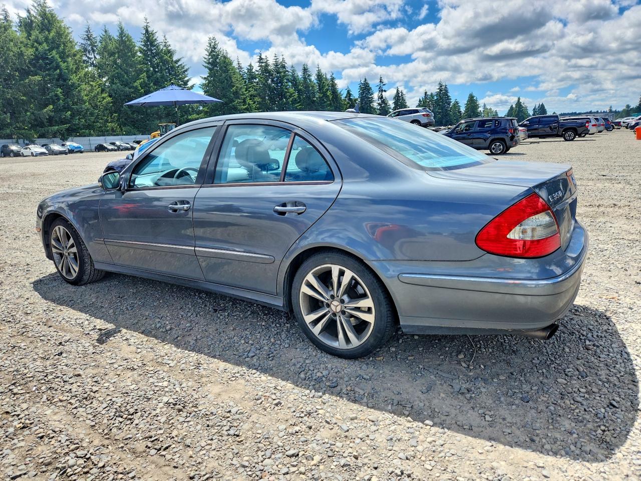 2007 Mercedes-benz Amg Gle53 Gray vin: WDBUF56X57B111366