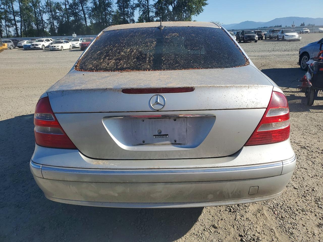 2004 Mercedes-benz E 320 Серебряный vin: WDBUF65J24A529520