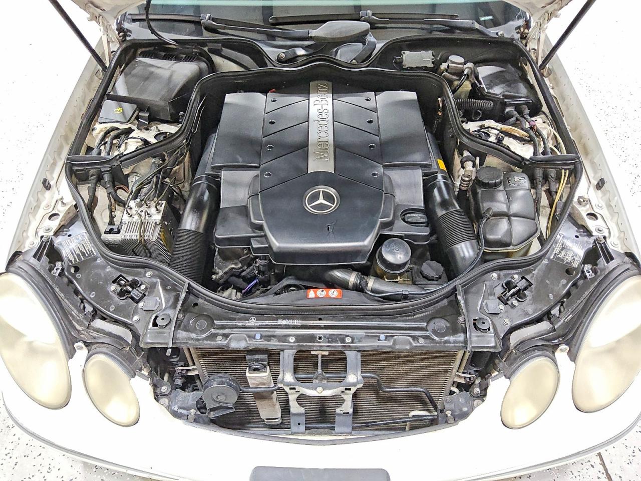 2004 Mercedes-benz E 500 Белый vin: WDBUF70J84A589993