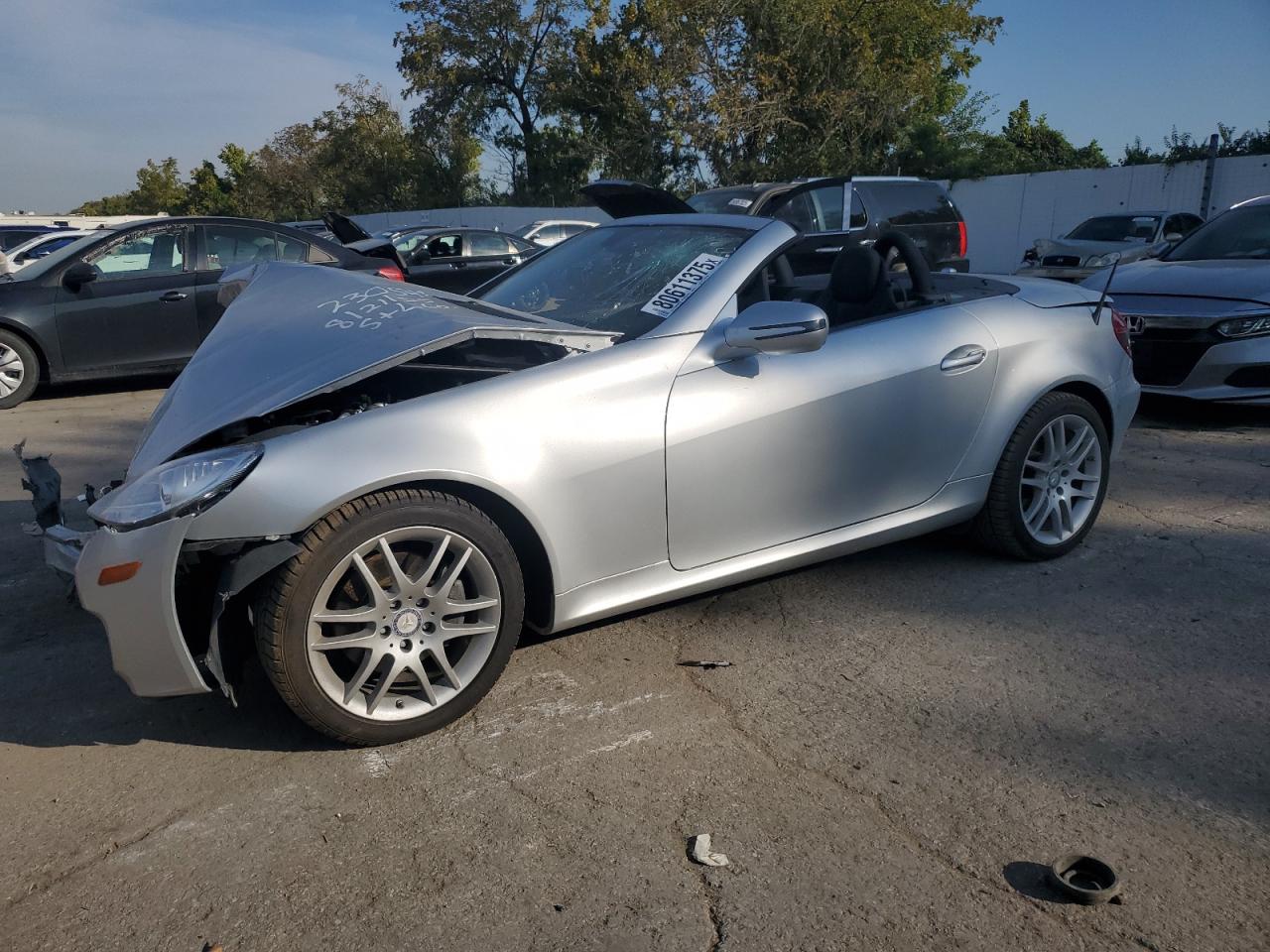 2009 Mercedes-benz Slk 300 Silver vin: WDBWK54F49F188028