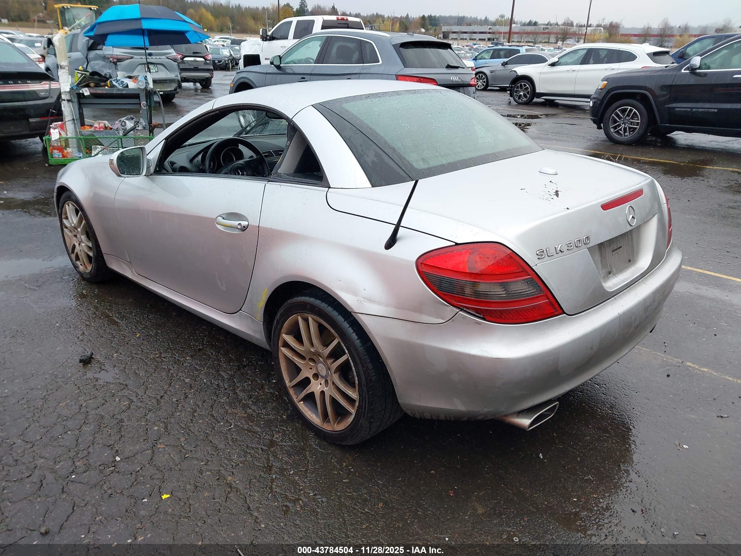2009 Mercedes-benz Slk 300   Silver vin: WDBWK54F99F192527