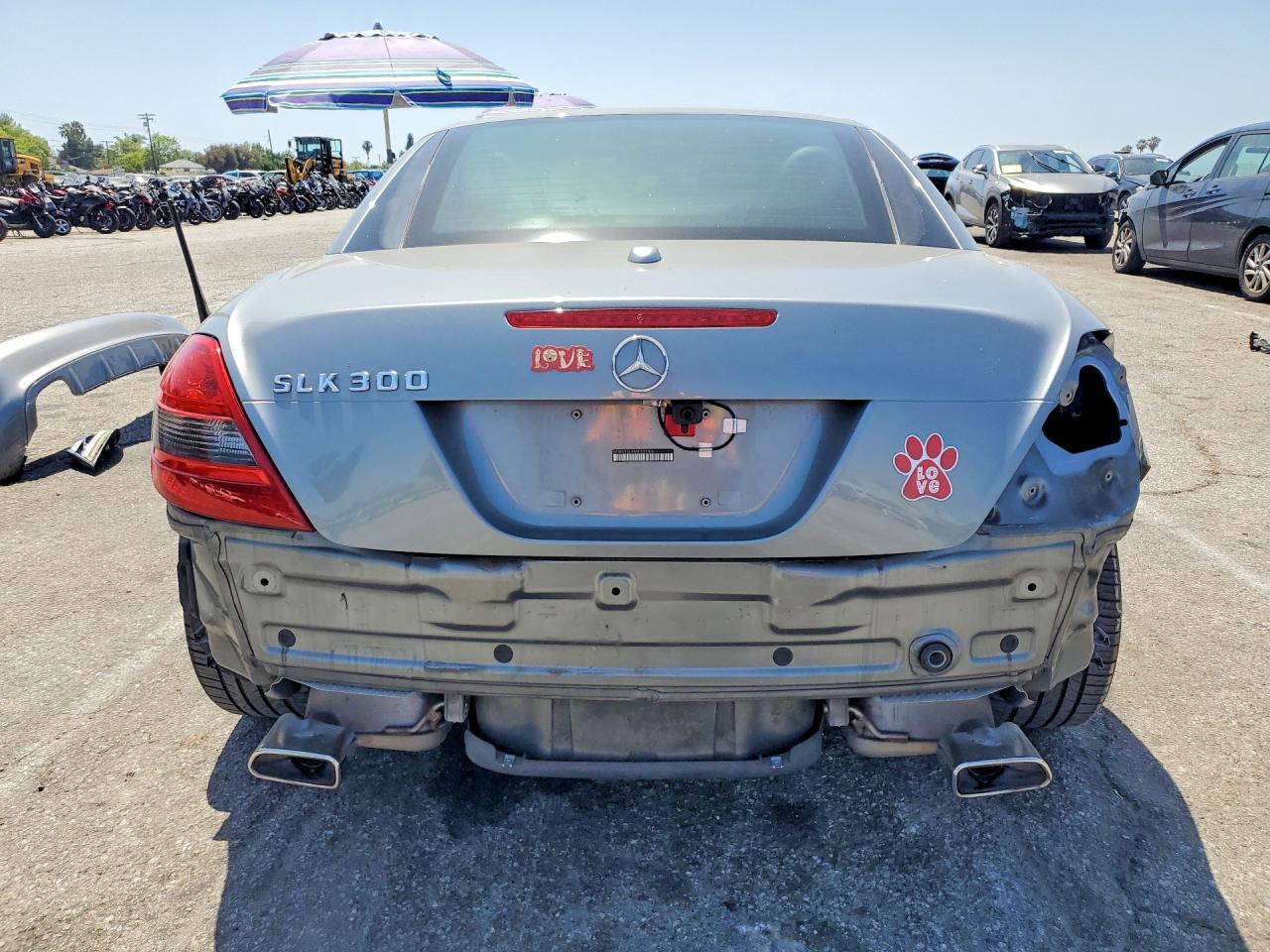 2010 Mercedes-benz Slk 300 Silver vin: WDBWK5EA4AF231306