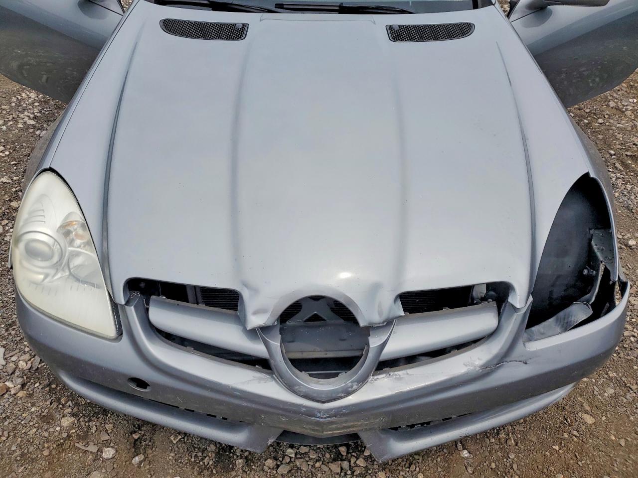 2010 Mercedes-benz Slk 300 Silver vin: WDBWK5EA5AF226244