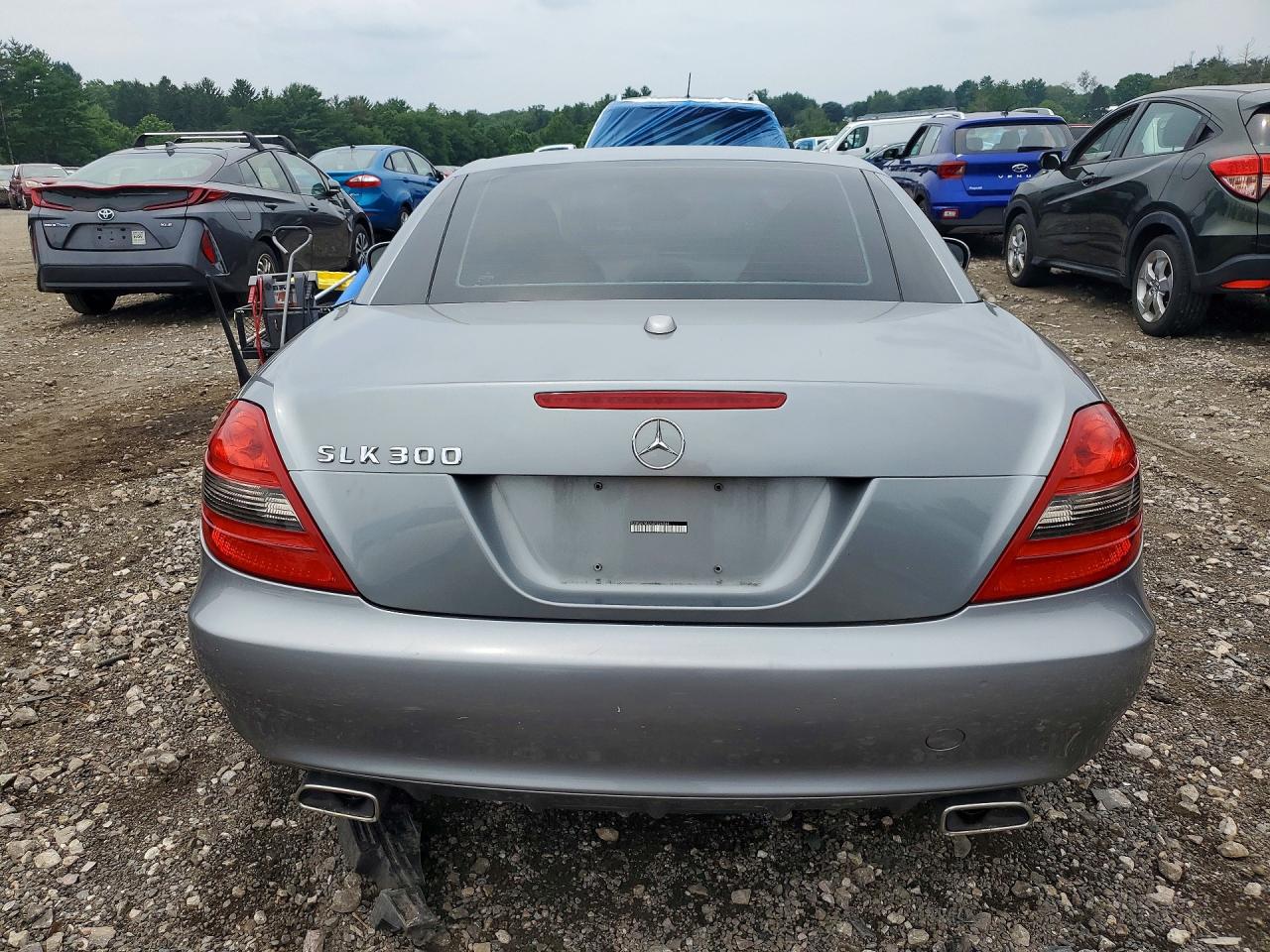 2010 Mercedes-benz Slk 300 Silver vin: WDBWK5EA5AF226244