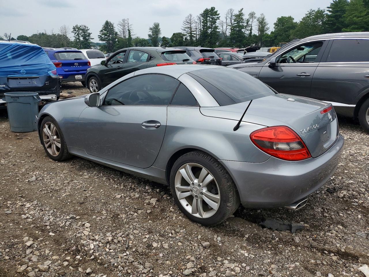 2010 Mercedes-benz Slk 300 Silver vin: WDBWK5EA5AF226244