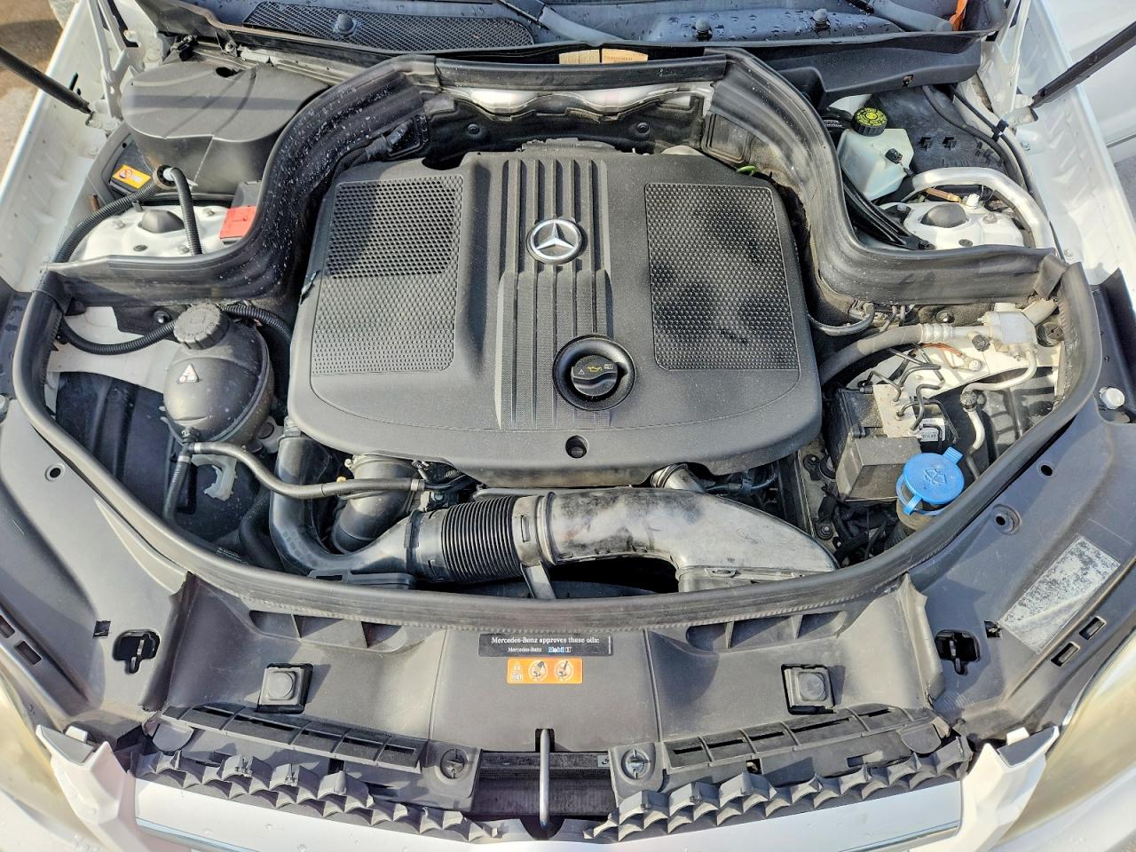 2014 Mercedes-benz Glk 250 Bluetec White vin: WDCGG0EB4EG331323