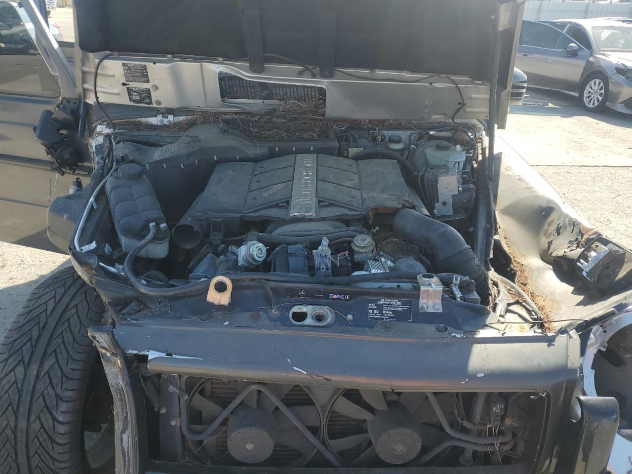2004 Mercedes-benz G 500 Зеленый vin: WDCYR49E94X143857