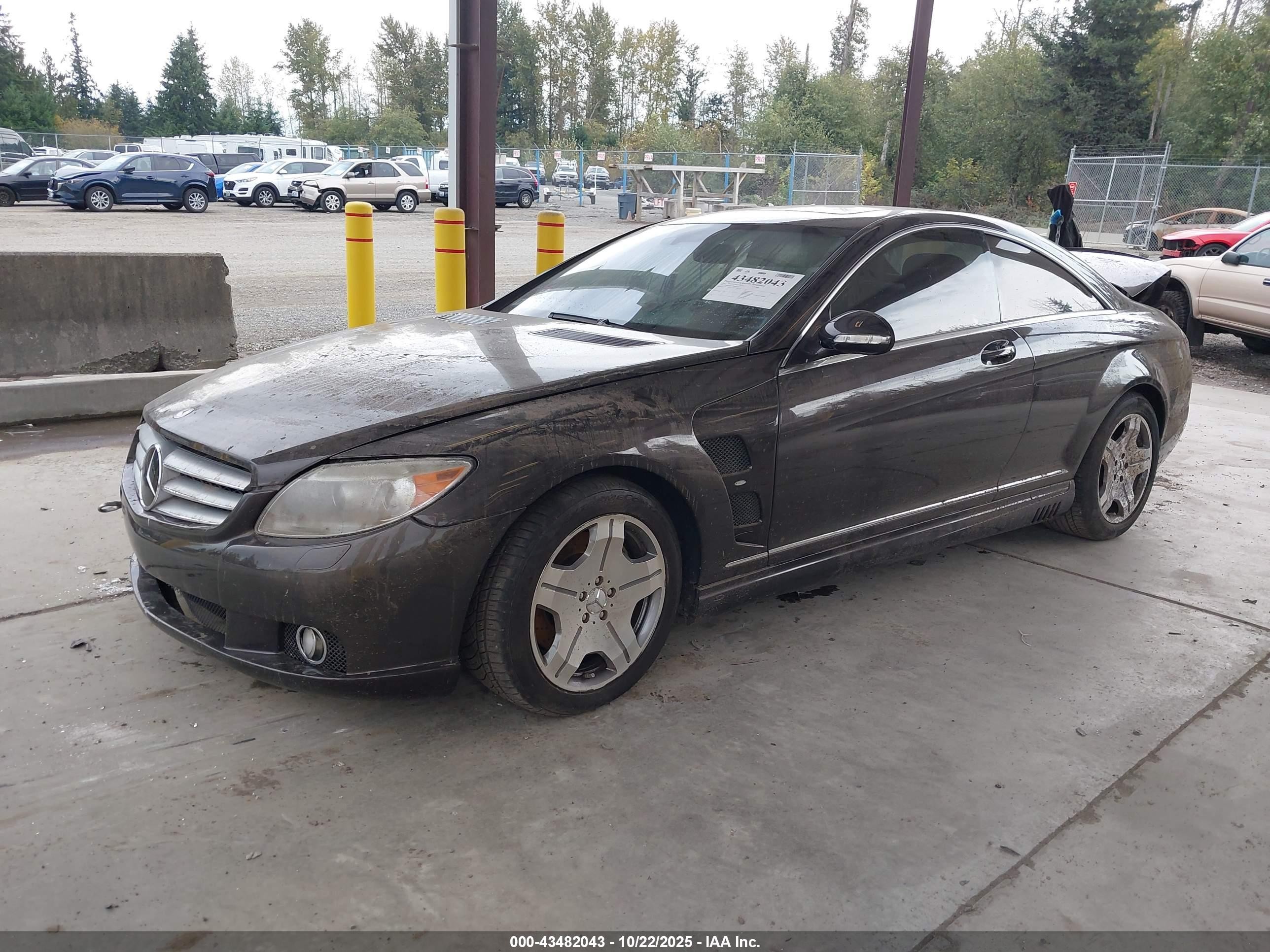 2007 Mercedes-benz Cl 600   Gray vin: WDDEJ76X97A007023