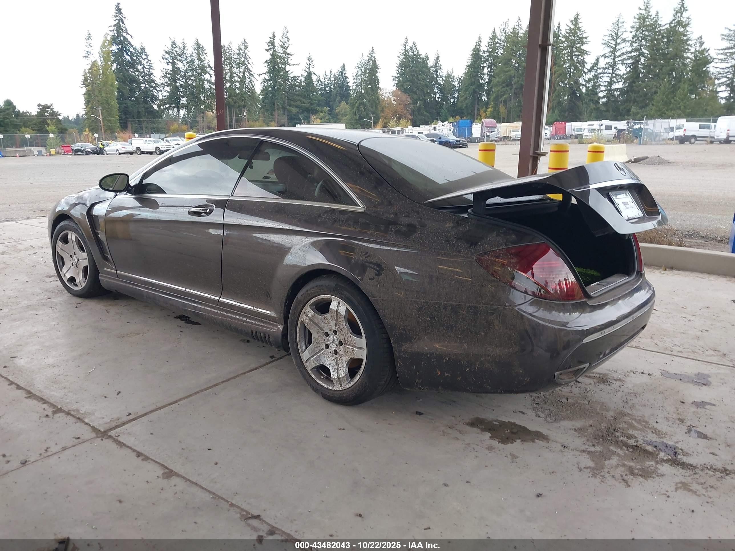 2007 Mercedes-benz Cl 600   Gray vin: WDDEJ76X97A007023