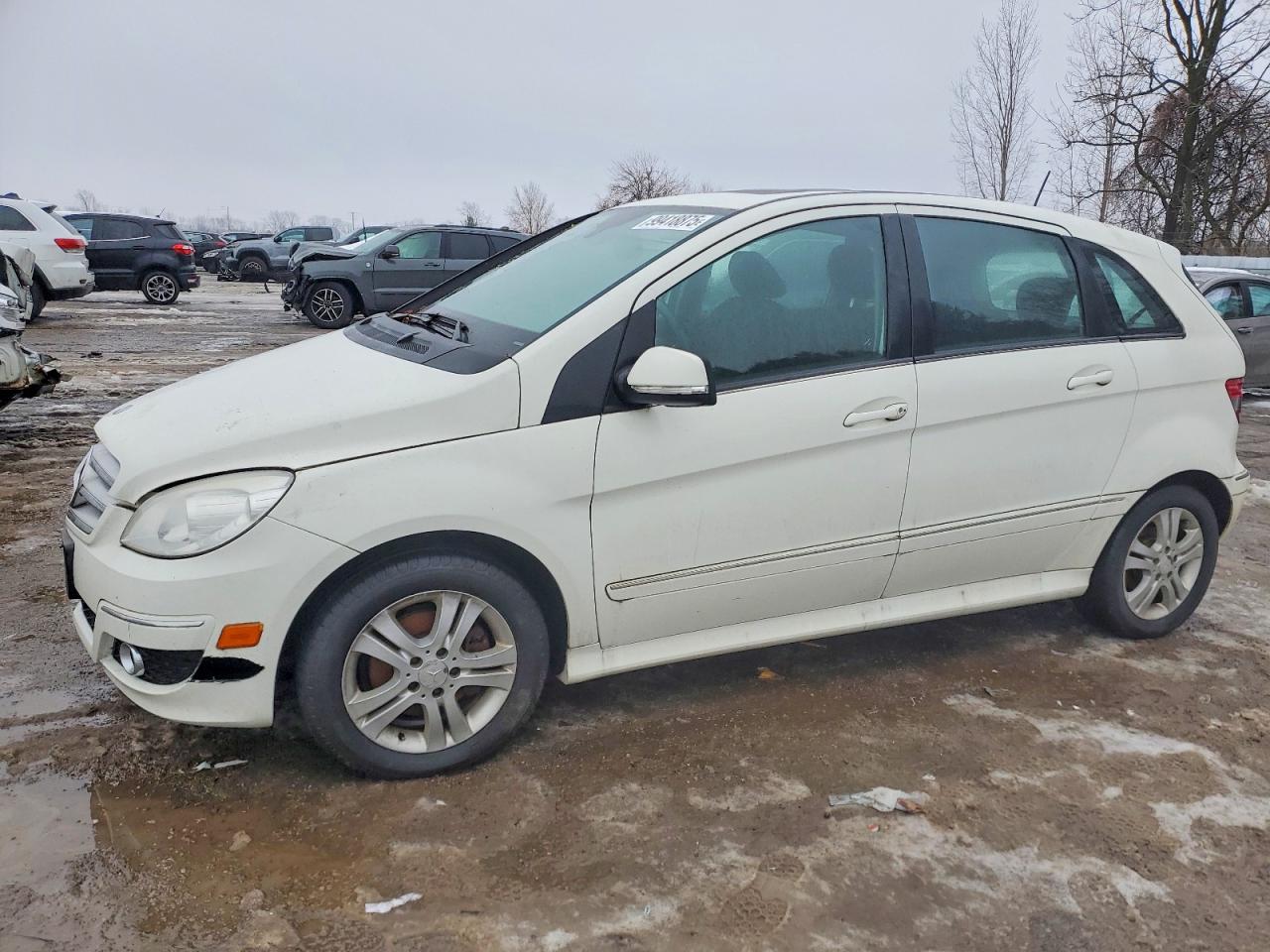 2009 Mercedes Benz B200 Белый vin: WDDFH33XX9J479960