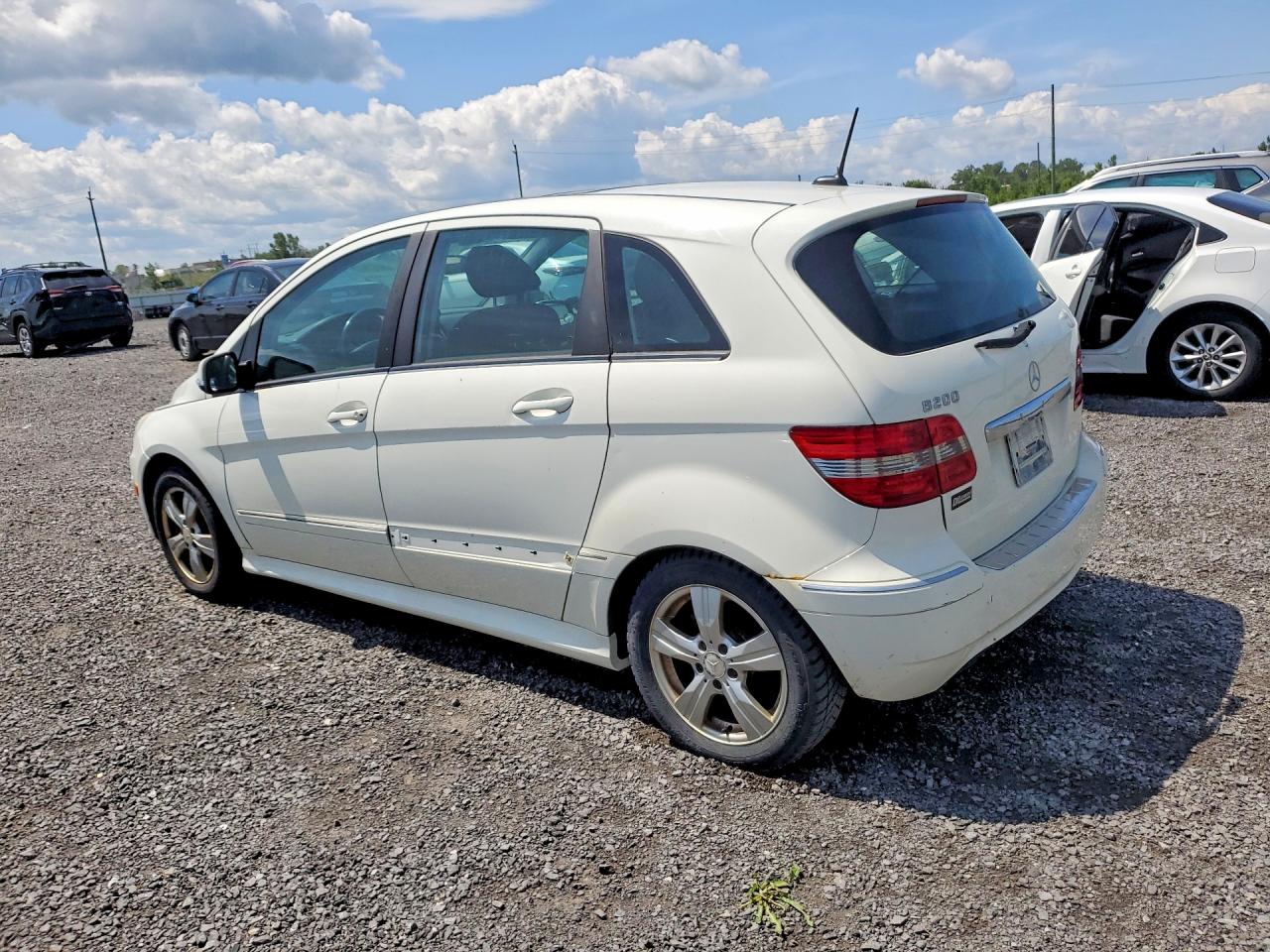 2010 Mercedes-benz B200 Белый vin: WDDFH3DB0AJ572526