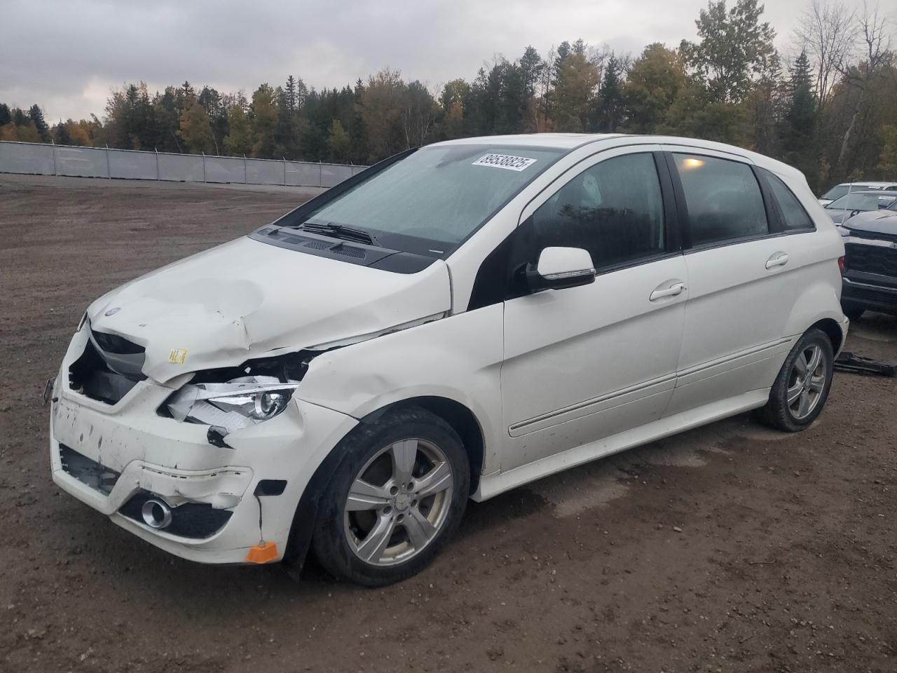2010 Mercedes-benz B200 White vin: WDDFH3DBXAJ597076