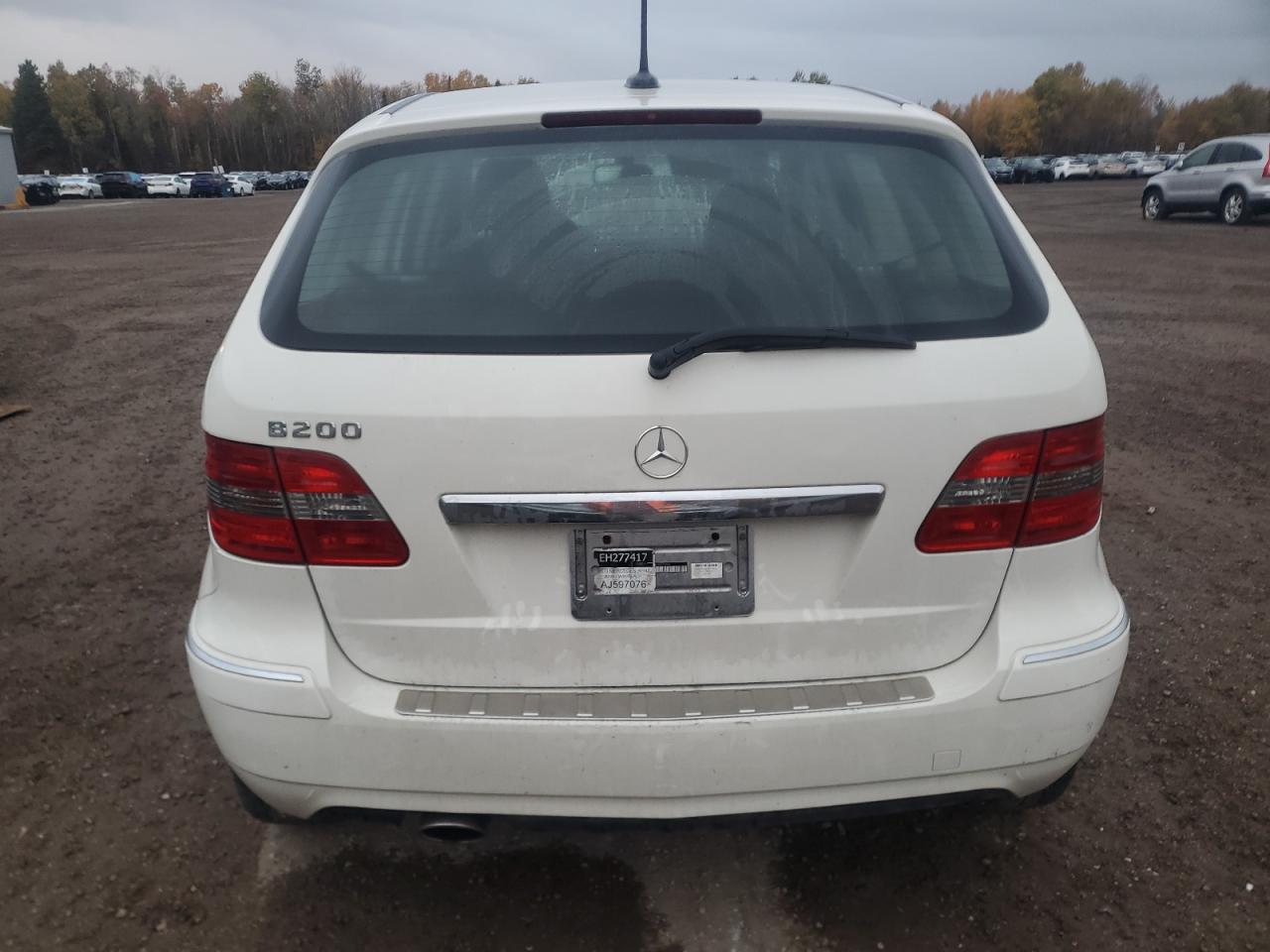 2010 Mercedes-benz B200 White vin: WDDFH3DBXAJ597076