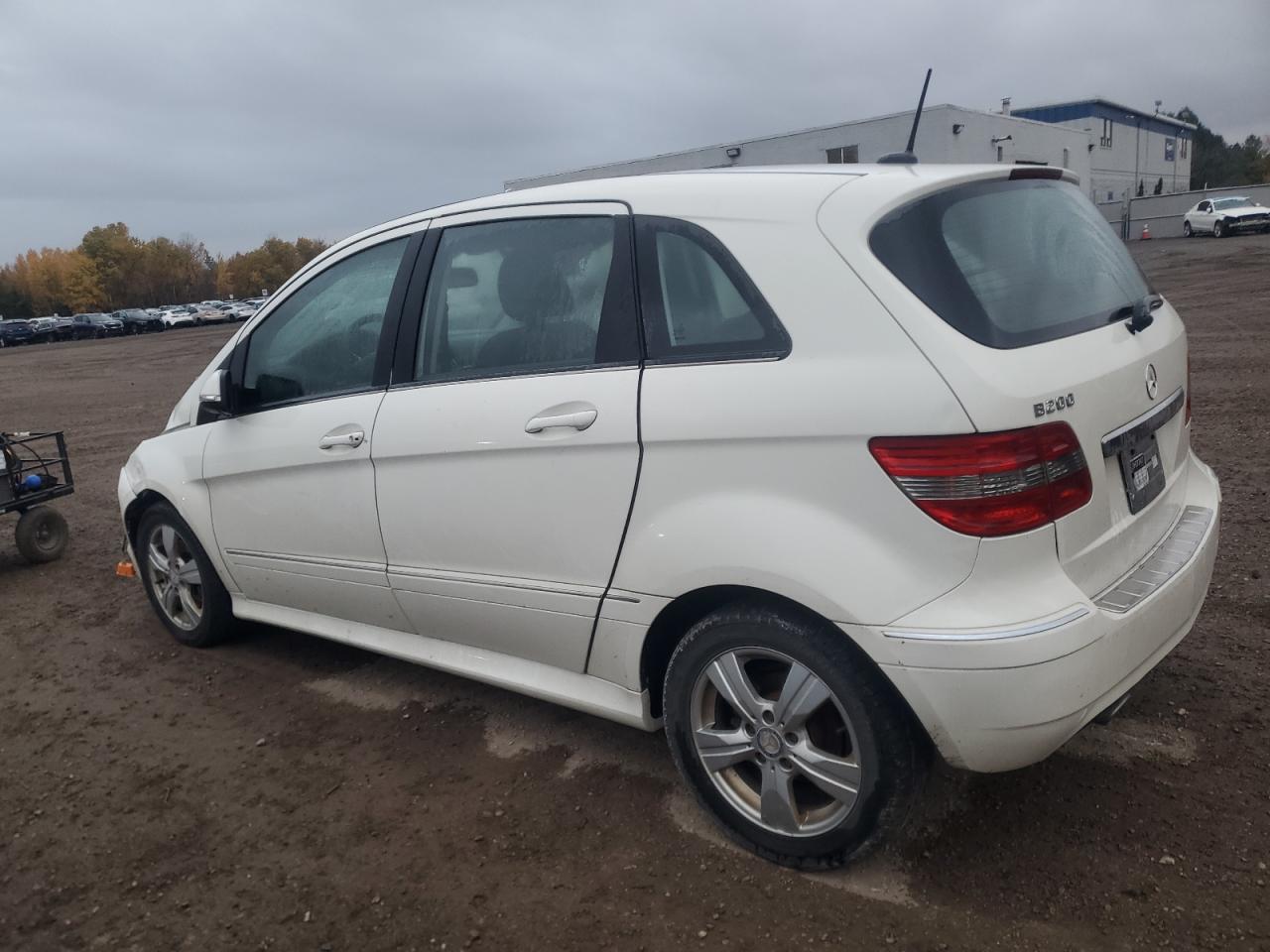 2010 Mercedes-benz B200 White vin: WDDFH3DBXAJ597076