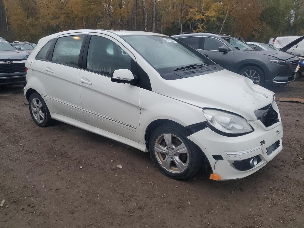 2010 Mercedes-benz B200 White vin: WDDFH3DBXAJ597076
