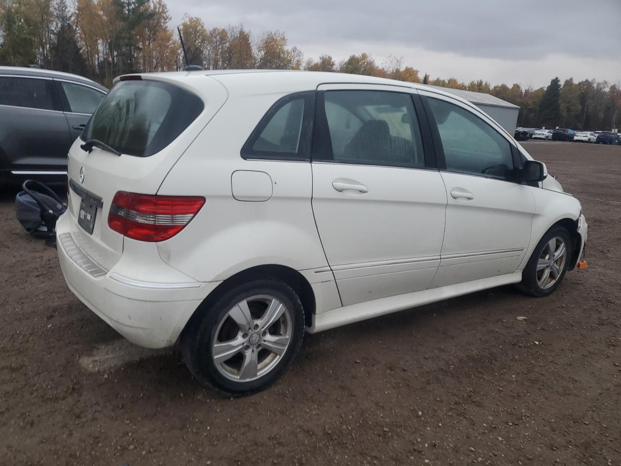 2010 Mercedes-benz B200 White vin: WDDFH3DBXAJ597076