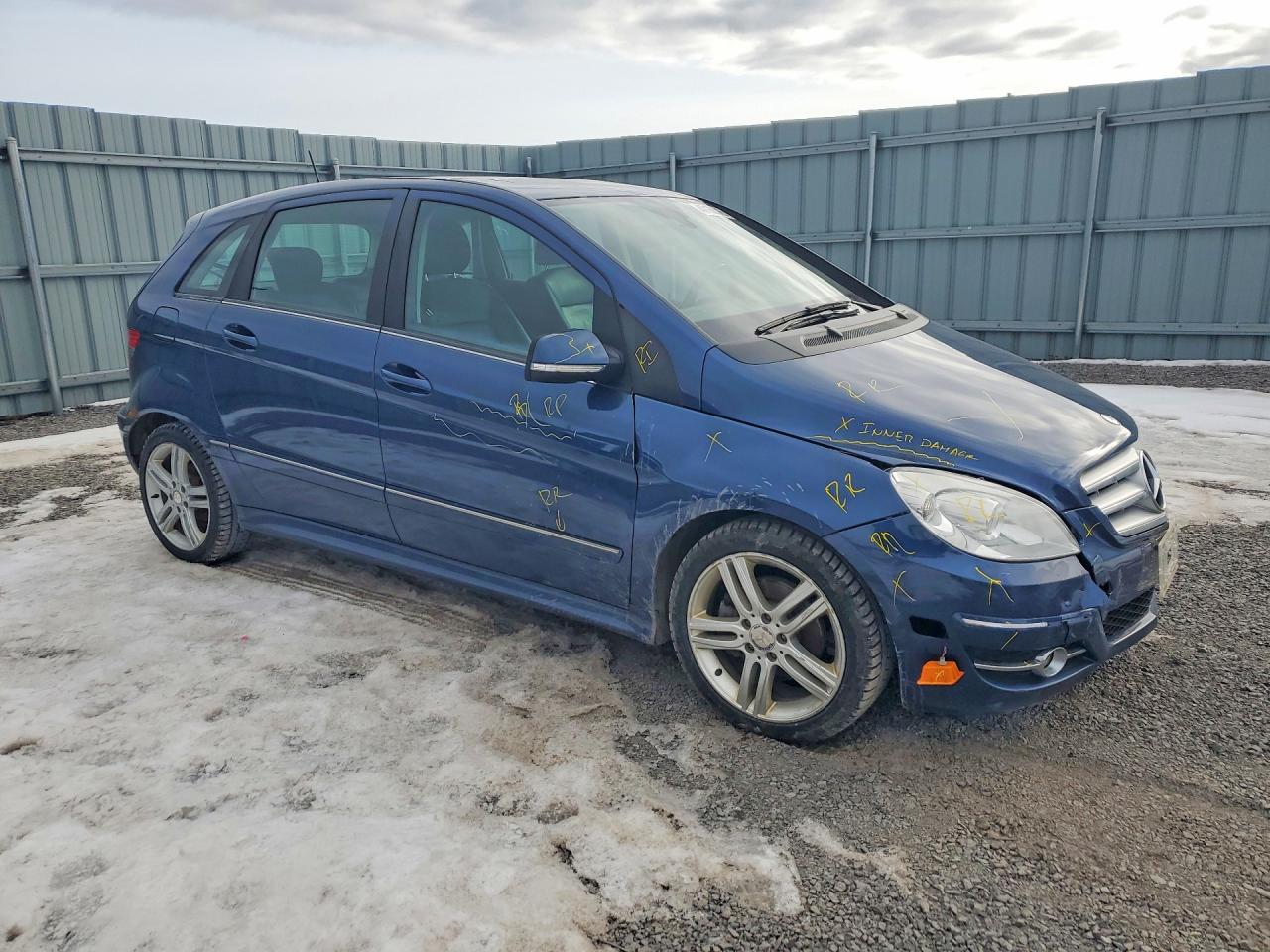 2010 Mercedes-benz B200 T Blue vin: WDDFH3EB0AJ580303
