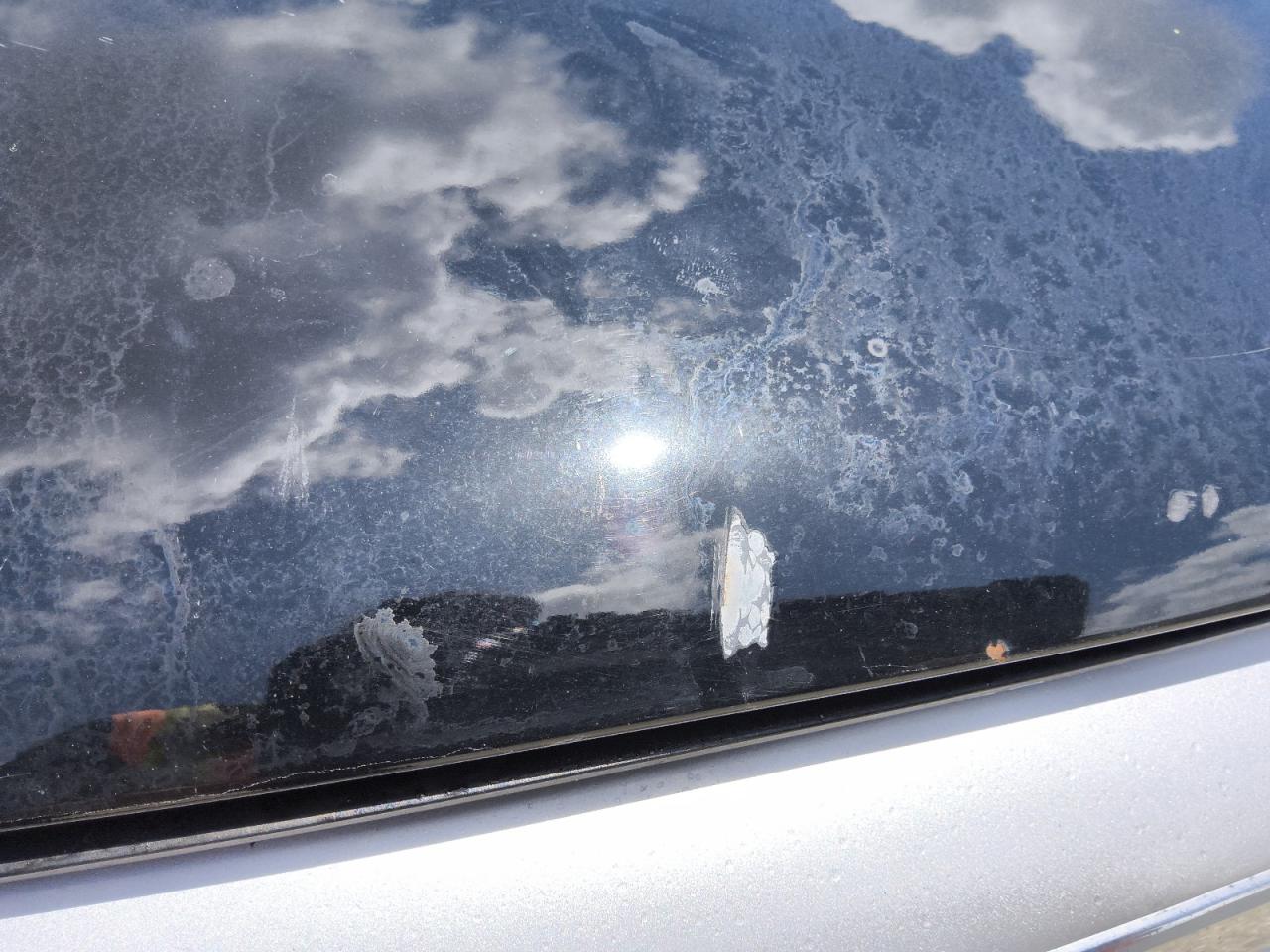 2010 Mercedes-benz C 300 Черный vin: WDDGF5EB0AR100641 Damage: Hood, Heavy Scratch, 1 To 2 Inches