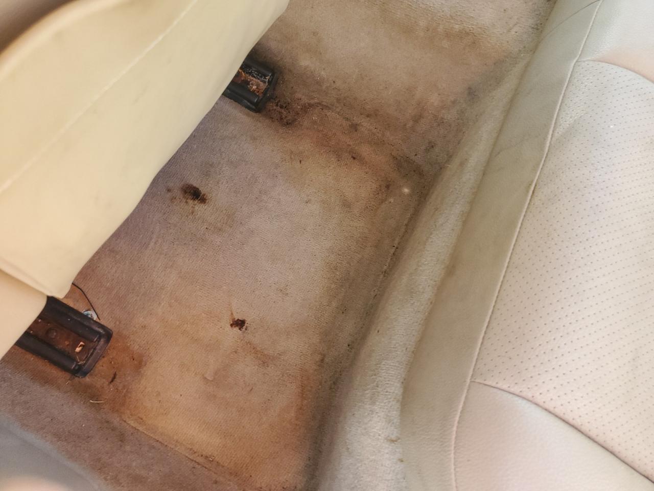 2013 Mercedes-benz C 300 4matic White vin: WDDGF8AB1DA814109 Damage: Left Rear Carpet, Stained, Permanent