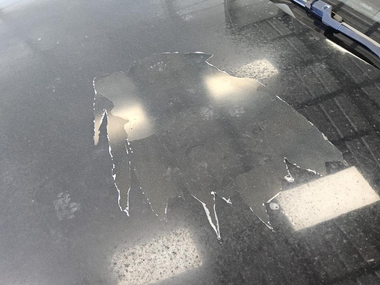 2014 Mercedes-benz C 300 4matic Black vin: WDDGF8AB7ER308920 Damage: Hood, Peeling, > 12 Inches
