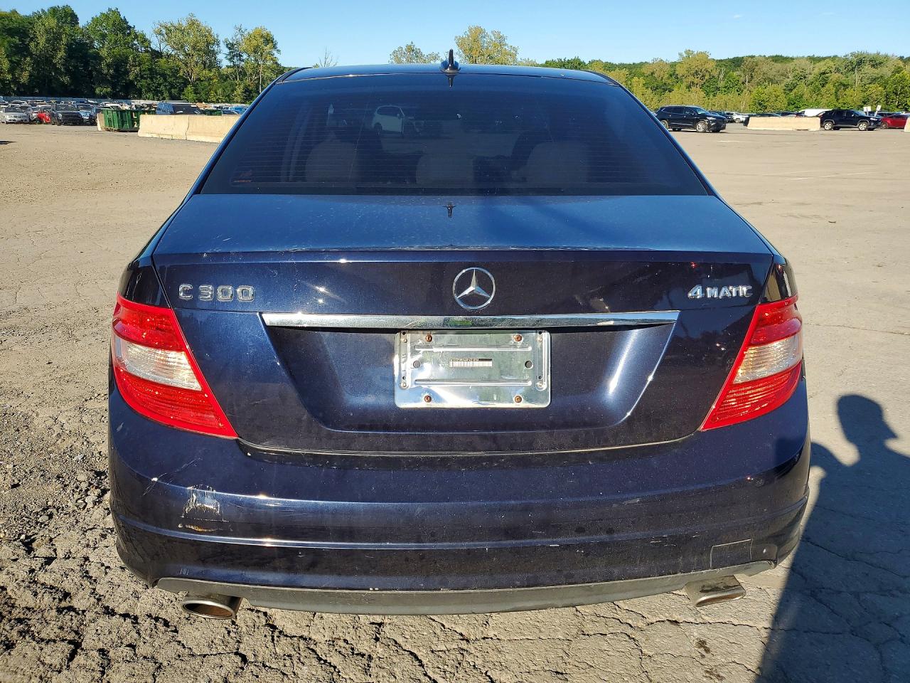 2010 Mercedes-benz C 300 4matic Blue vin: WDDGF8BB4AF421654