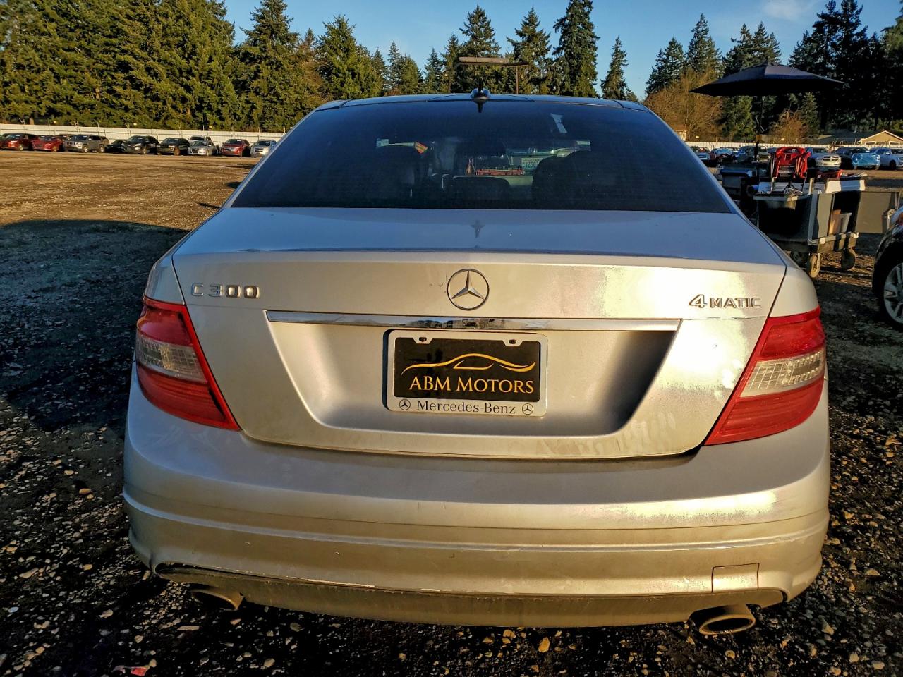 2010 Mercedes-benz C 300 4matic Silver vin: WDDGF8BB5AF401638