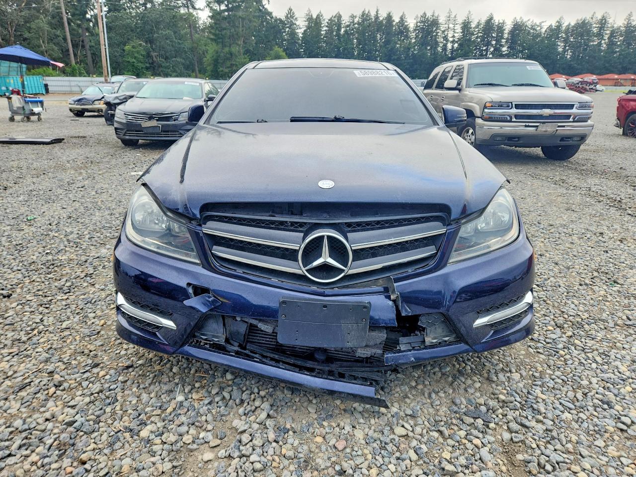 2013 Mercedes-benz C 250 Blue vin: WDDGJ4HB9DF945482