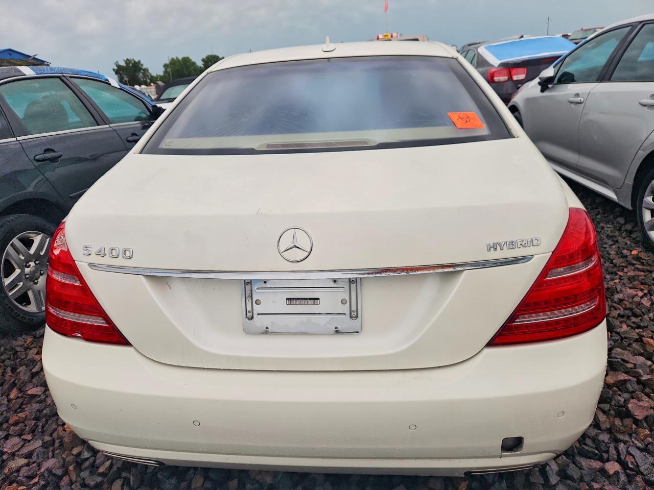 2010 Mercedes-benz S 400 White vin: WDDNG9FB3AA302155