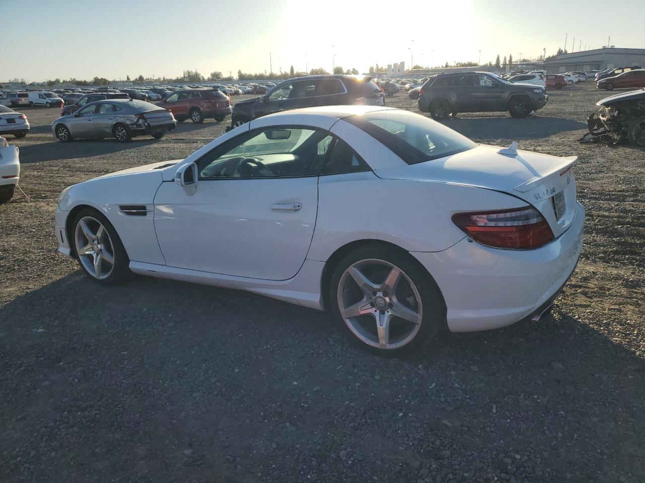 2014 Mercedes-benz Slk 250 White vin: WDDPK4HA4EF090809