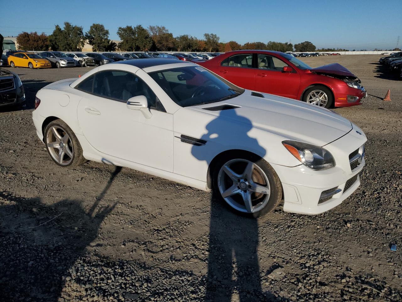 2014 Mercedes-benz Slk 250 White vin: WDDPK4HA4EF090809