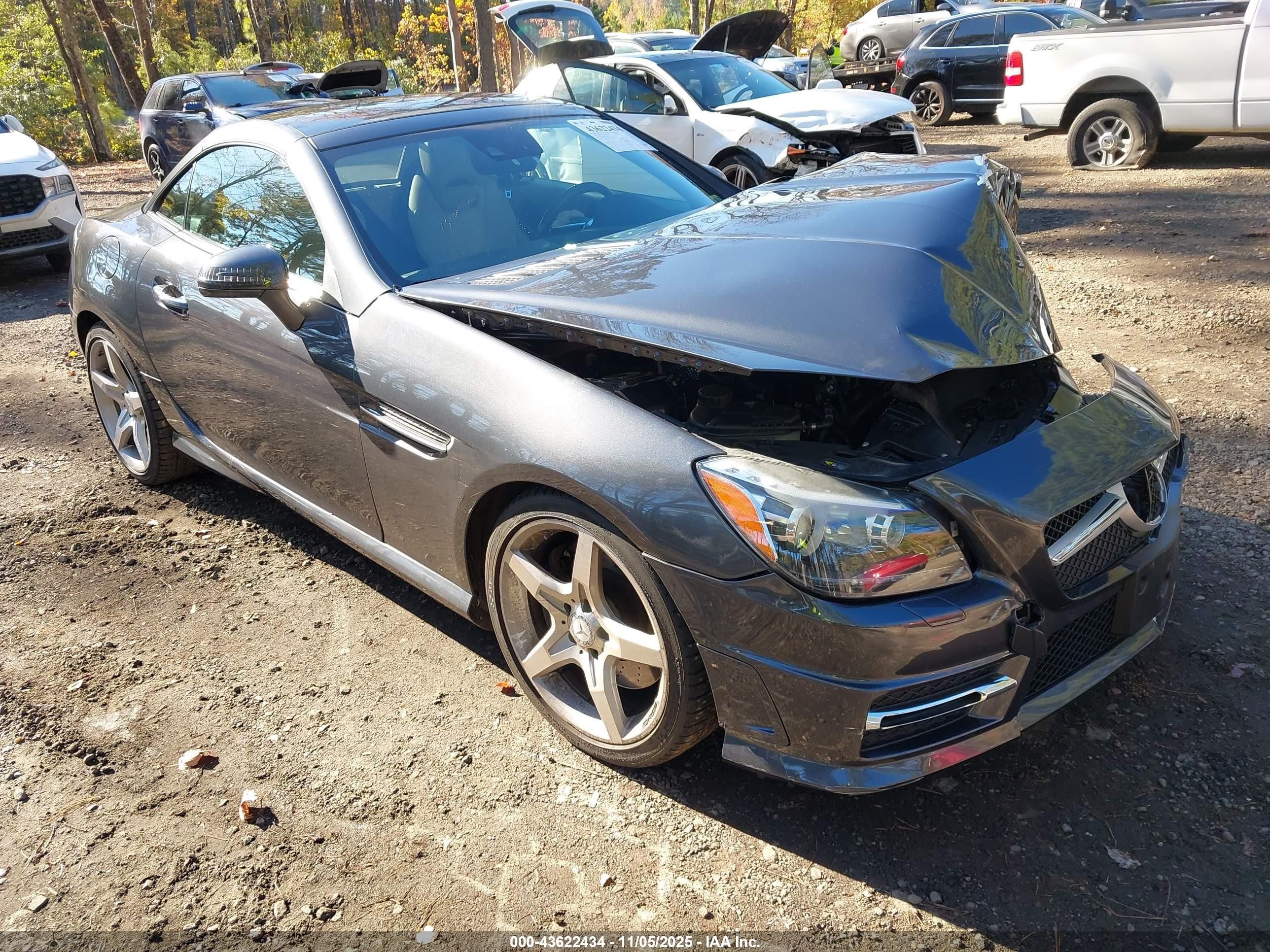 2013 Mercedes-benz Slk 250   Gray vin: WDDPK4HA6DF053808