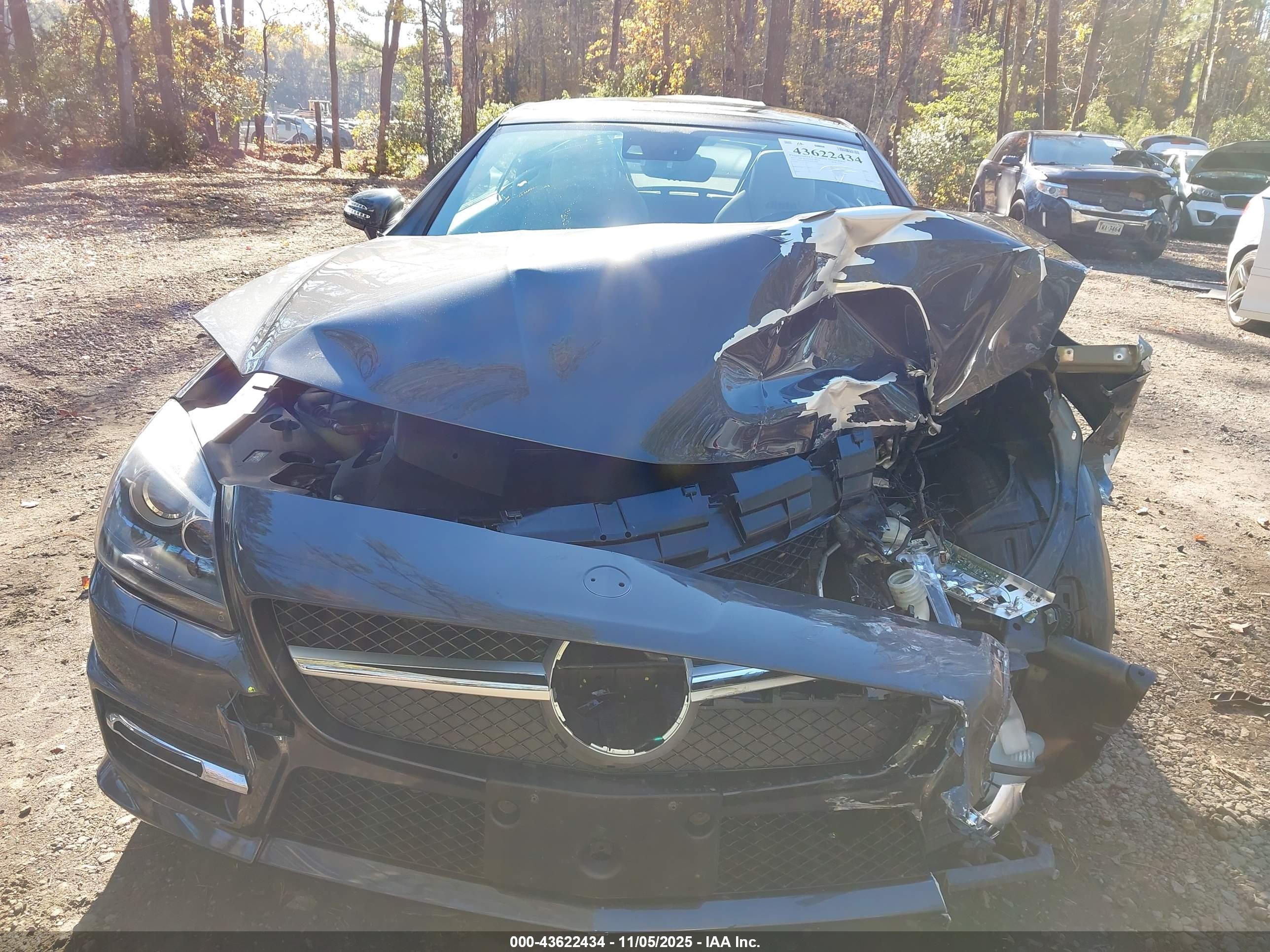 2013 Mercedes-benz Slk 250   Gray vin: WDDPK4HA6DF053808