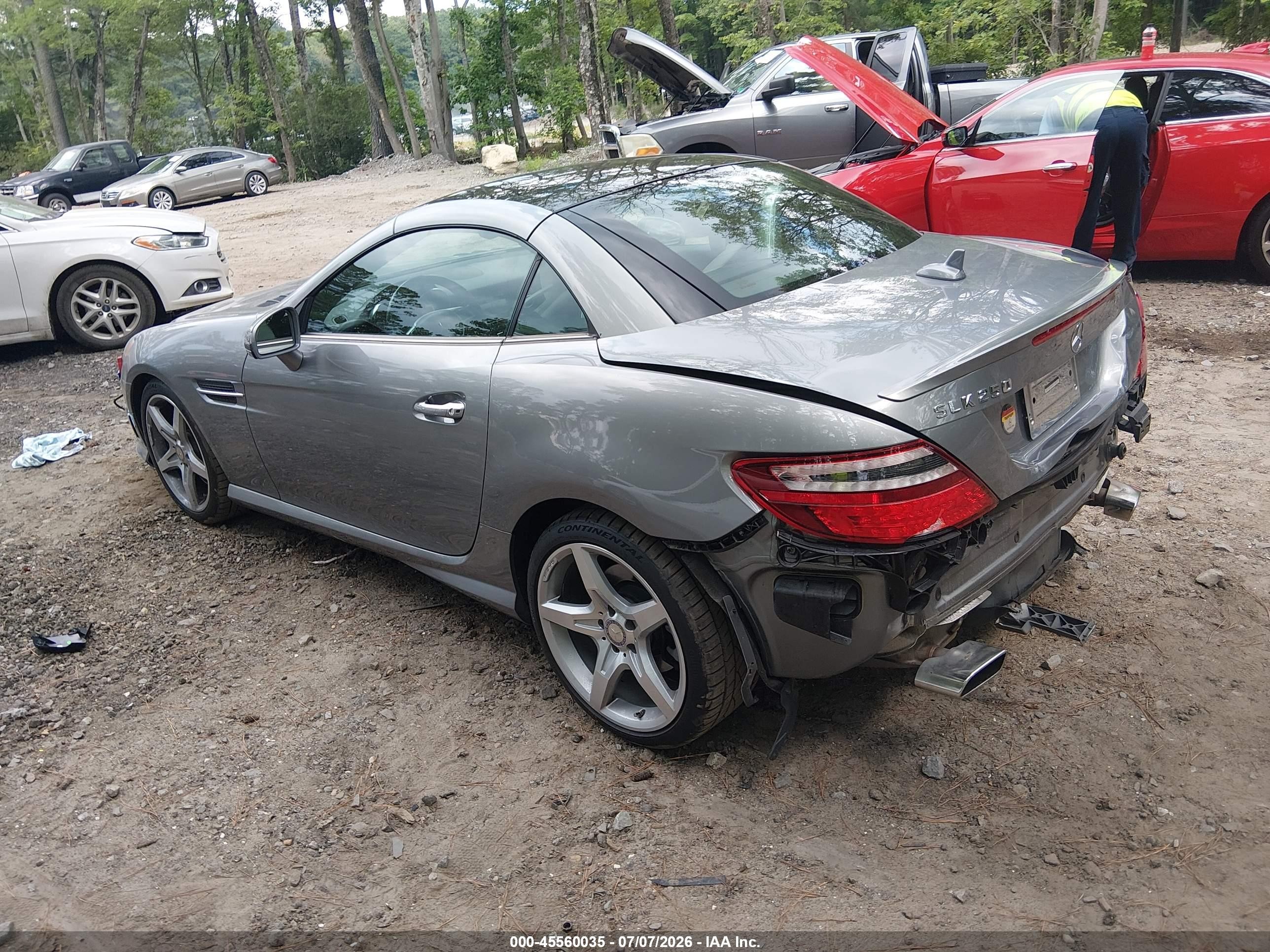 2014 Mercedes-benz Slk 250   Серебряный vin: WDDPK4HA6EF074689