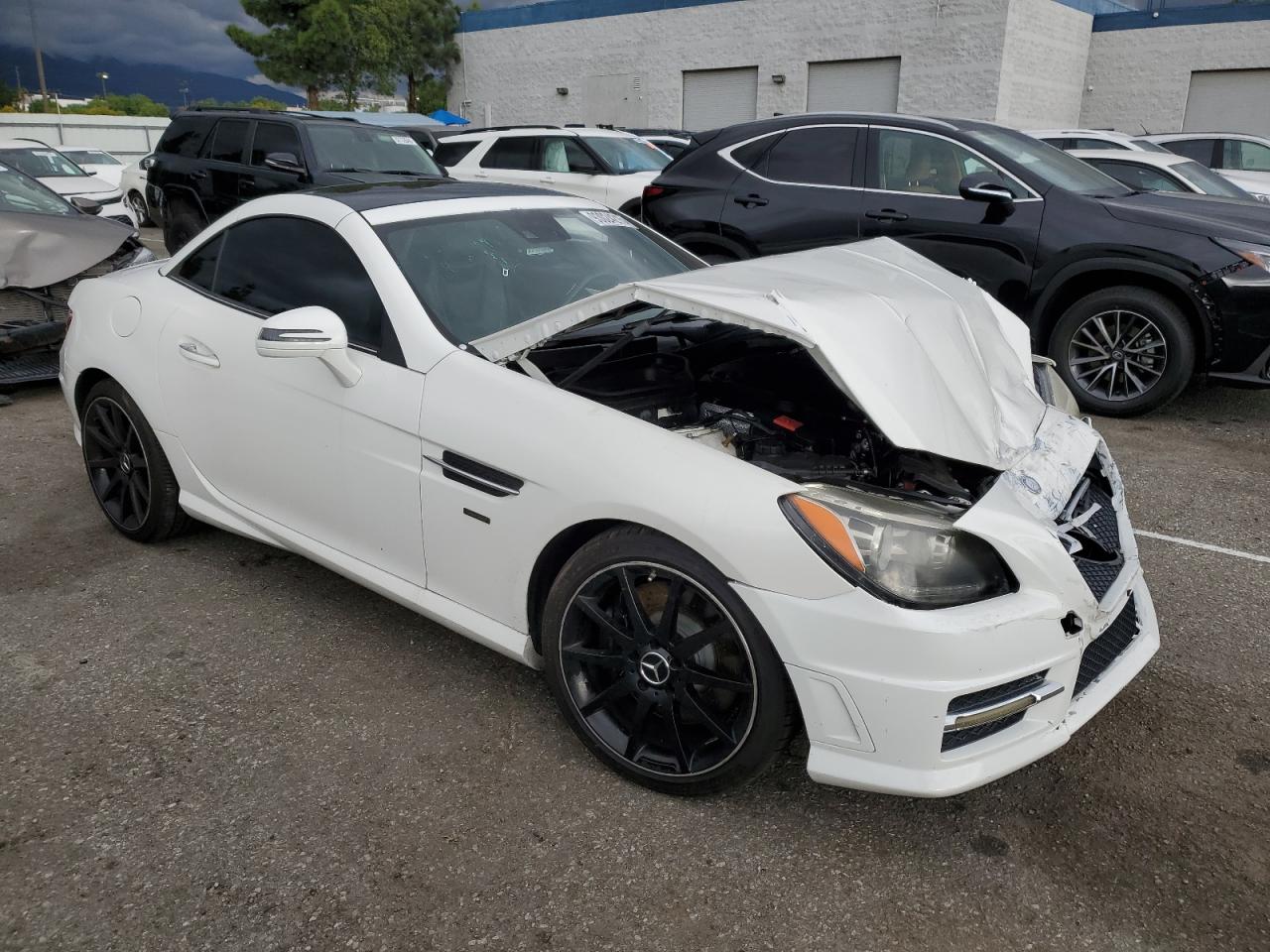 2014 Mercedes-benz Slk 250 White vin: WDDPK4HA6EF095025