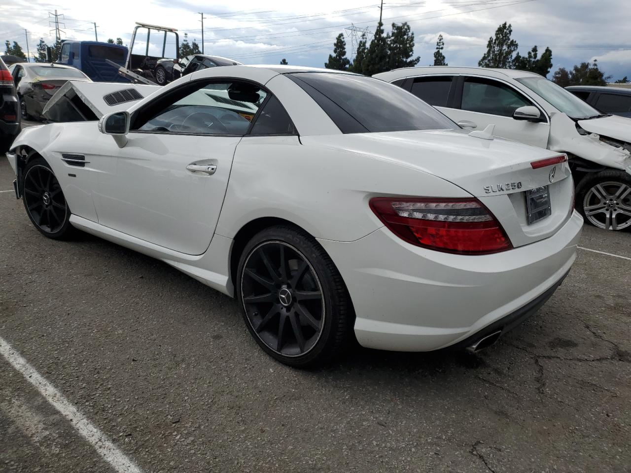 2014 Mercedes-benz Slk 250 White vin: WDDPK4HA6EF095025
