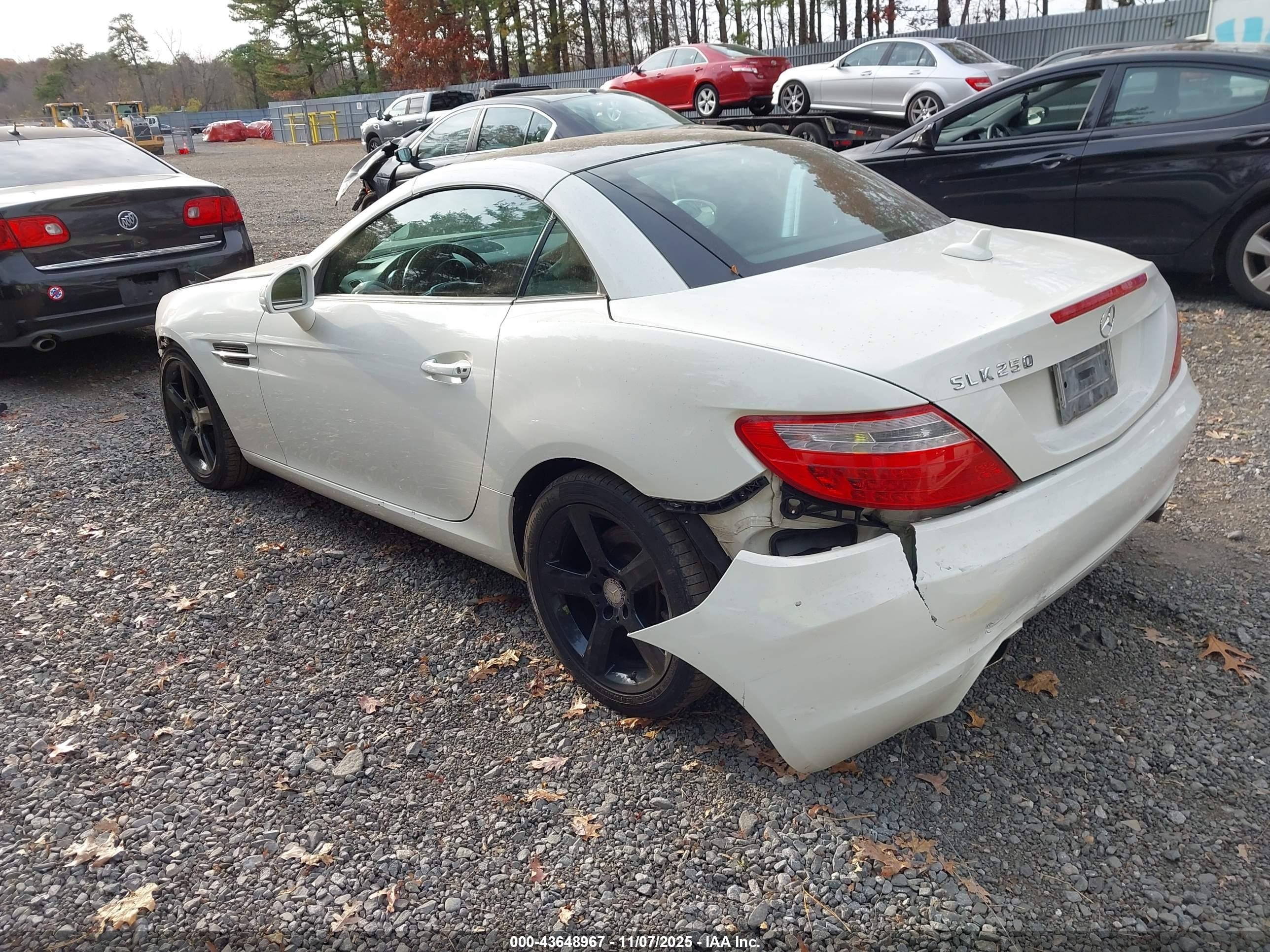 2013 Mercedes-benz Slk 250   White vin: WDDPK4HA9DF057190