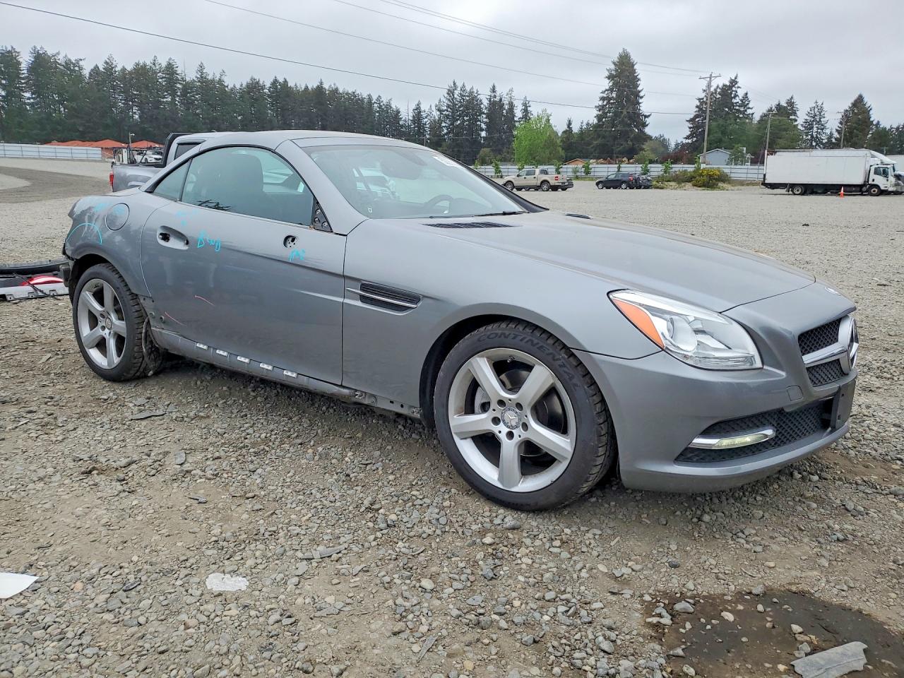 2012 Mercedes-benz Slk 250 Silver vin: WDDPK4HAXCF036248
