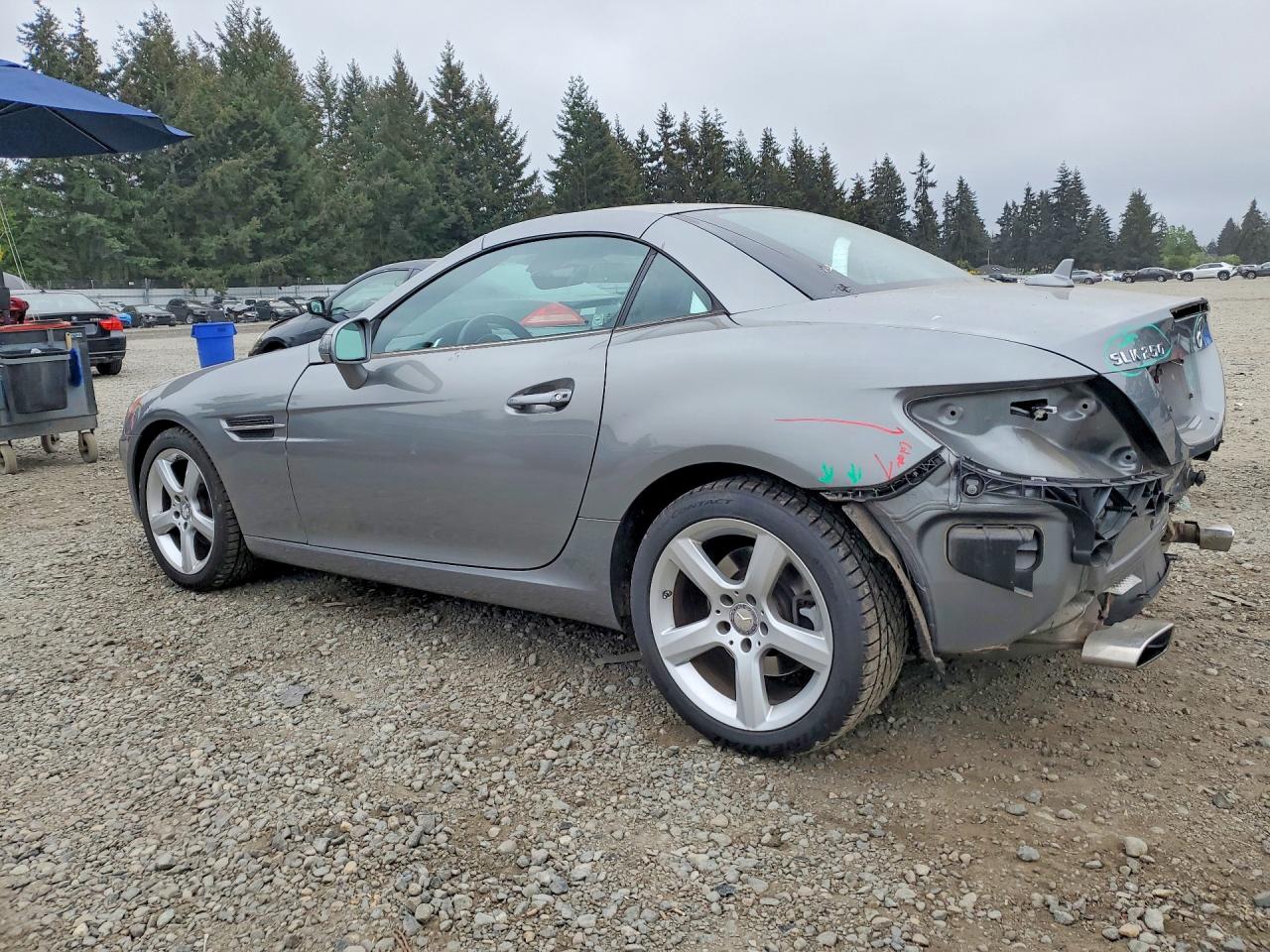 2012 Mercedes-benz Slk 250 Silver vin: WDDPK4HAXCF036248