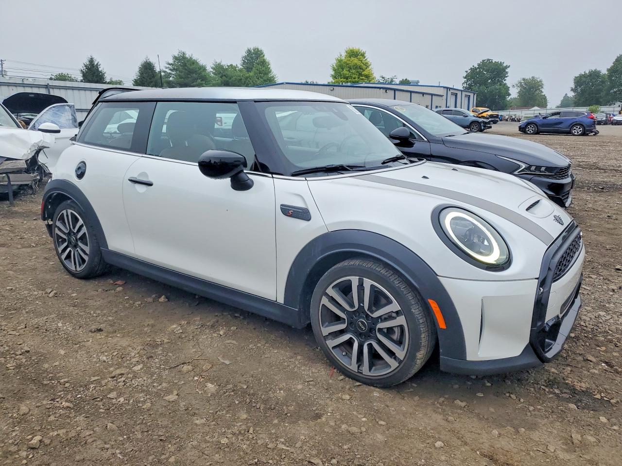 2024 Mini Cooper S White vin: WMW53DH02R2V71142