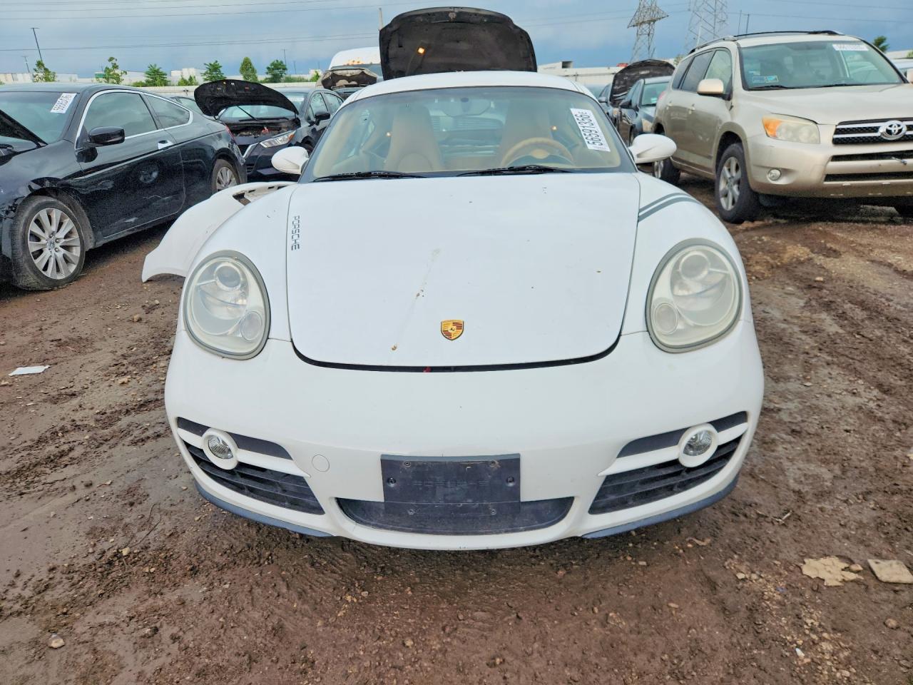 2008 Porsche Cayman White vin: WP0AA29898U761247