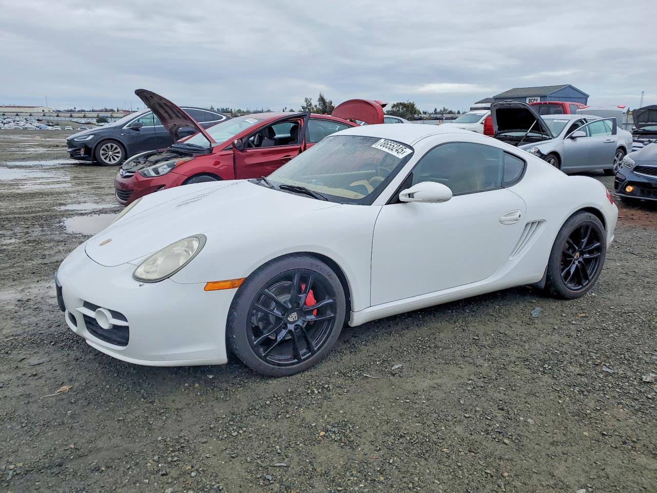 2007 Porsche Cayman S White vin: WP0AB298X7U780126