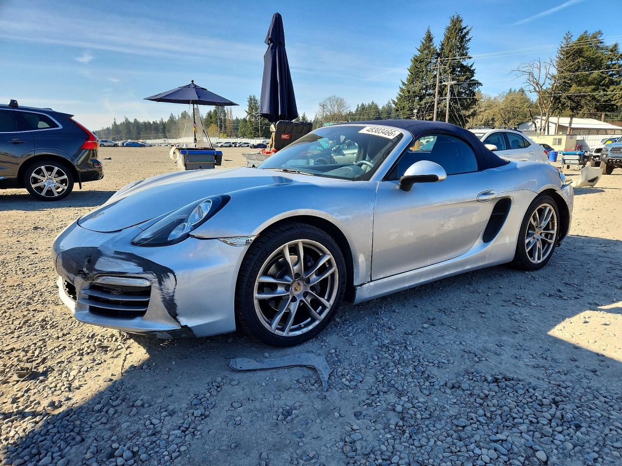 2014 Porsche Boxster Silver vin: WP0CA2A88ES120733