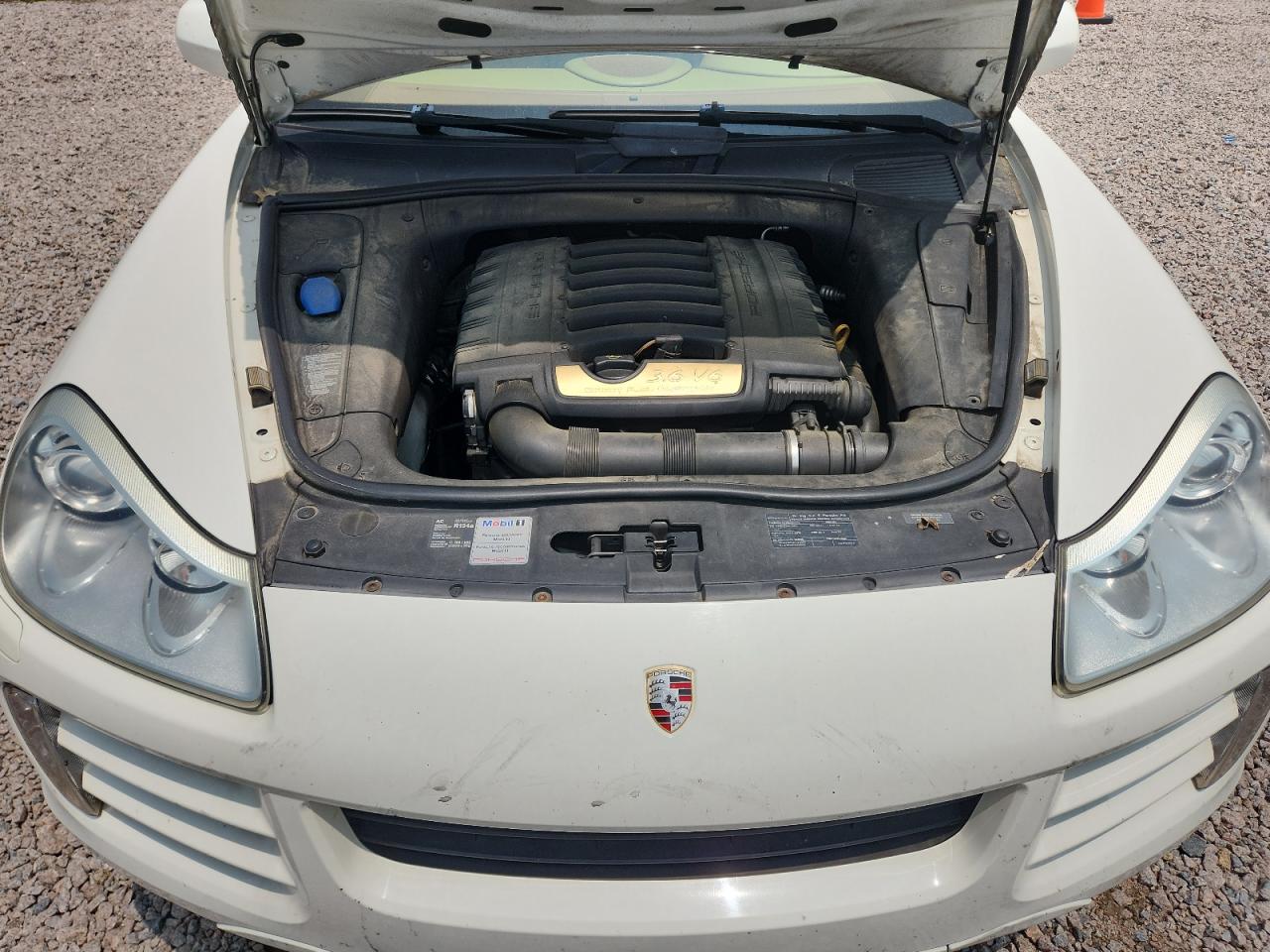 2009 Porsche Cayenne White vin: WP1AA29PX9LA05049